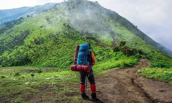 How to Hike the Appalachian Trail: Tips for Beginners