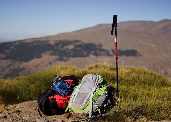 WildPack Backpack Manufacturer