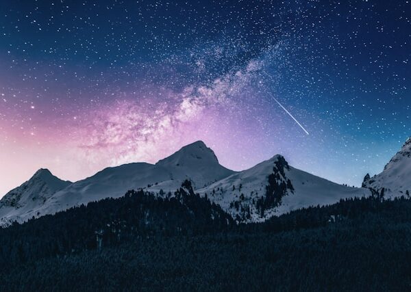 Speedy sign-in and playful nights: the OscarSpin login experience reimagined for phones